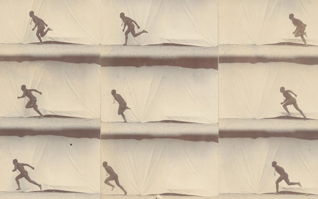 Exposition « Étienne-Jules Marey : chronophotographie, sciences et arts » du 6 novembre au 18 février