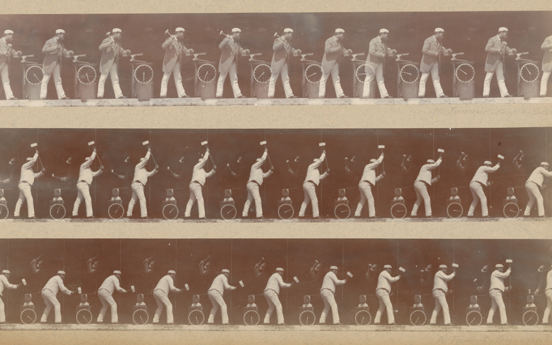 « Étienne-Jules Marey, connu et inconnu » – Journée d’étude le 28 novembre