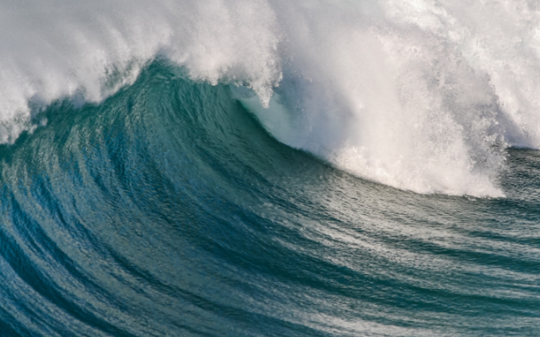 AAC Colloque : « LA VAGUE. Esthétiques, imaginaires et savoirs d’un monde en débordement »