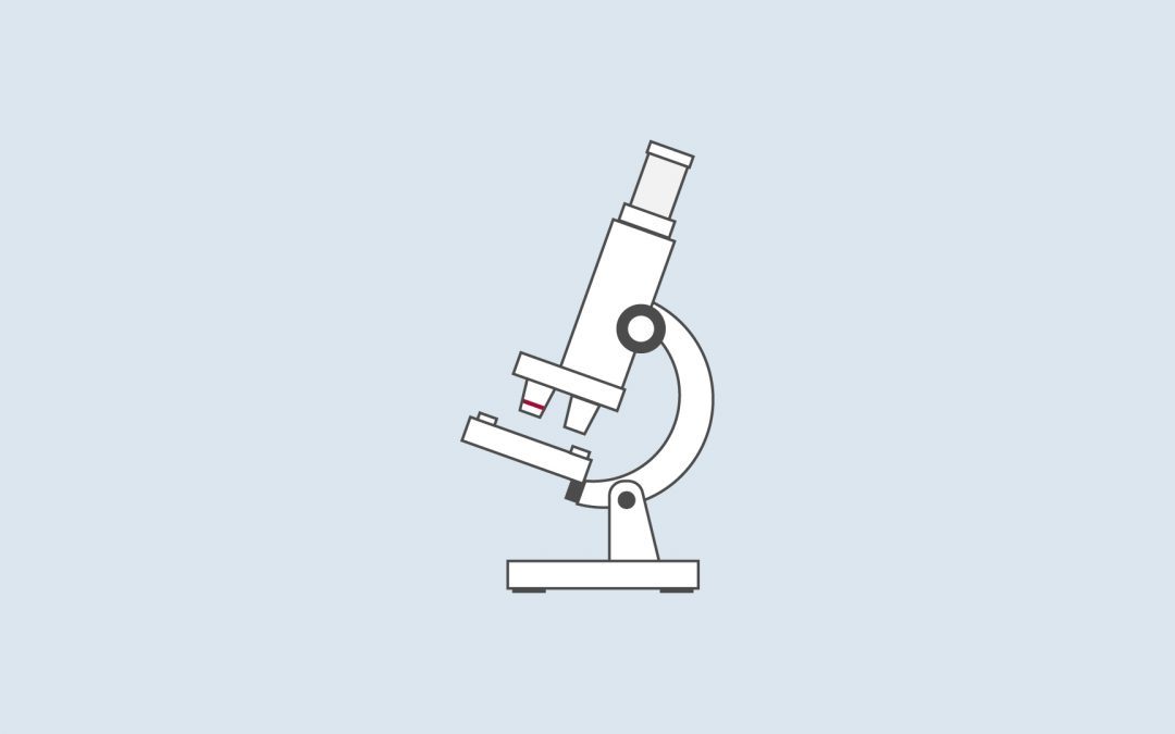 Membrane, Barrières et Médicaments