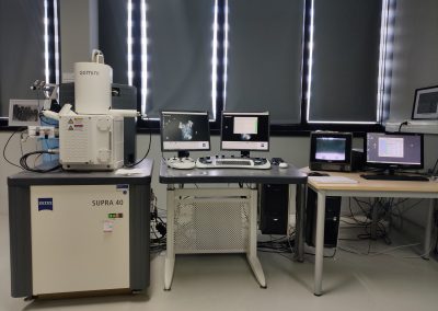 Microscopie électronique à balayage, ZEISS-SUPRA 40 VP/GEMINI COLUMN,
