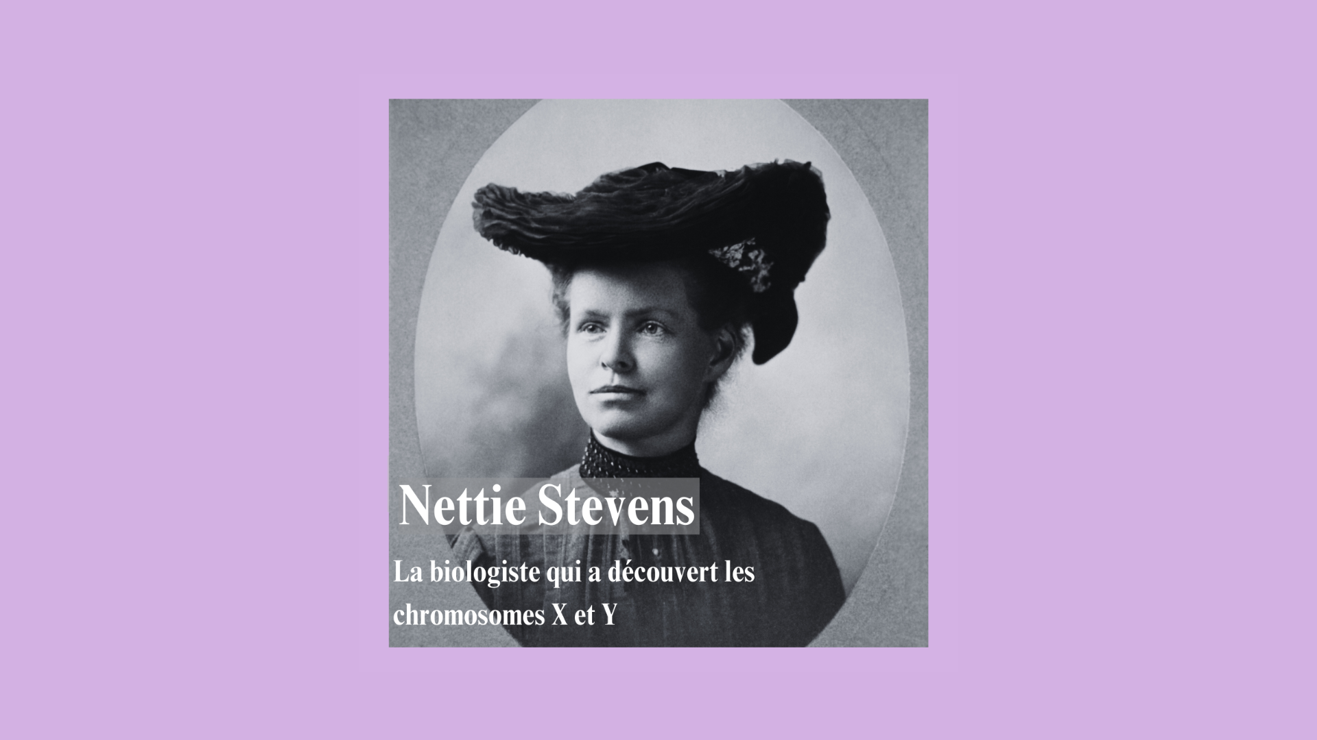 Nettie STEVENS