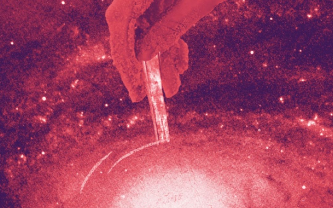 Voir l’univers autrement / sam. 21 nov. 12h