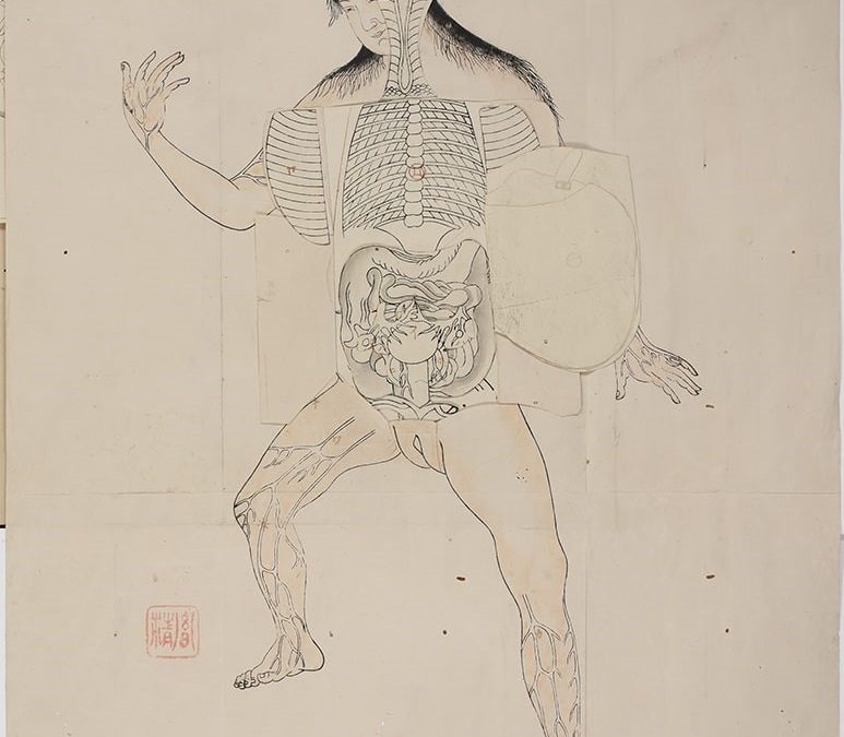 «Female body», Anatomical Atlas of the Whole Body, 1772. trans. (c. 1682), Suzuki Shūun, ed. Source : International Research Center for Japanese Studies.