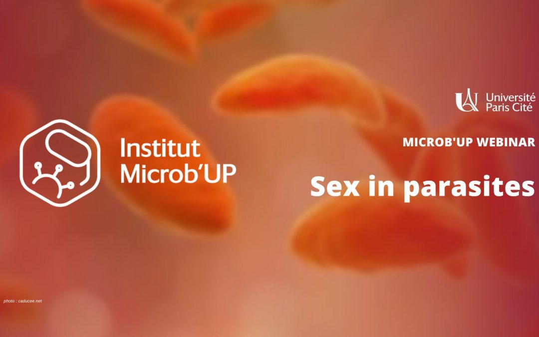 Microb’UP Webinar Sex in parasites – Institut Microb’UP