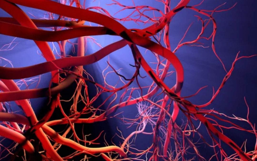 [Cardiovascular Sciences] Take part in the interdisciplinary « UE » open to all Master’s 2 students from every Graduate School