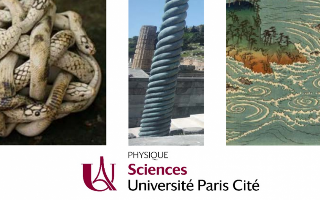 Journées « Complexité-Désordre »