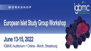 European Islet Study Group workshop in Strasbourg @ IGBMC et en ligne