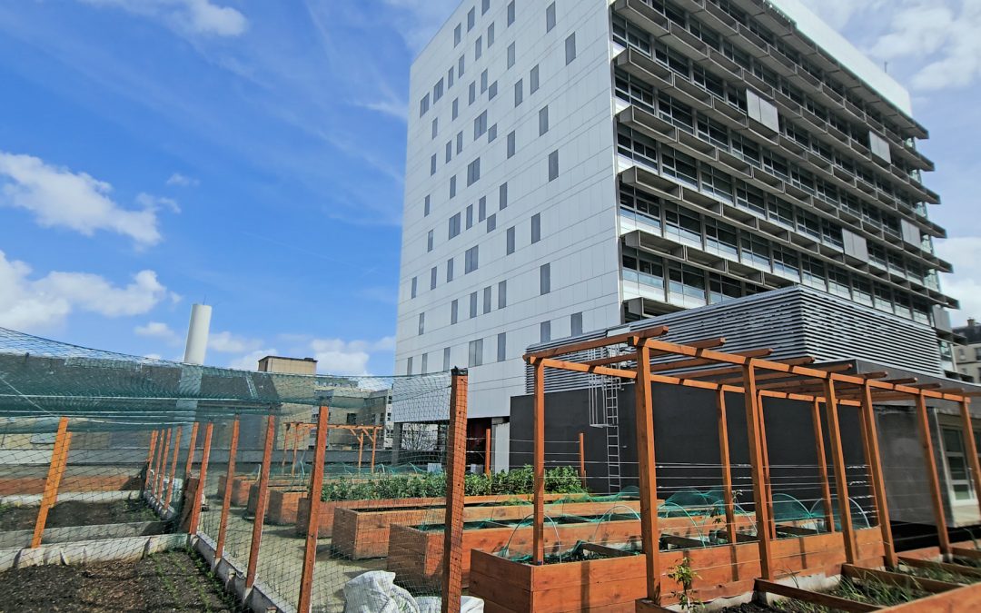 Inauguration : un jardin sur le Campus Necker !