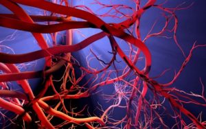 [Cardiovascular Sciences] Participez à l’UE d’ouverture interdisciplinaire ouverte aux M2 de toutes les Graduate Schools @ Format hybride