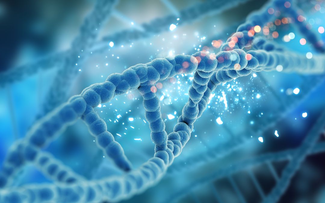 Une nouvelle application web pour décrypter la régulation post-transcriptionnelle