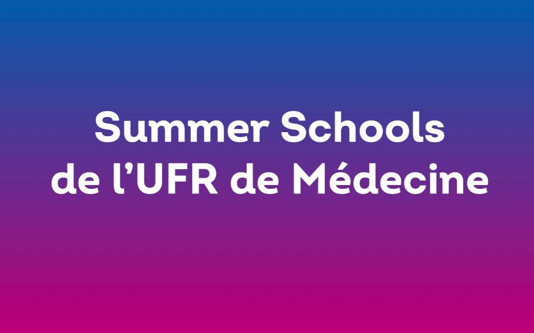 Summers Schools 2026 : une expérience internationale d’excellence à l’UFR de Médecine