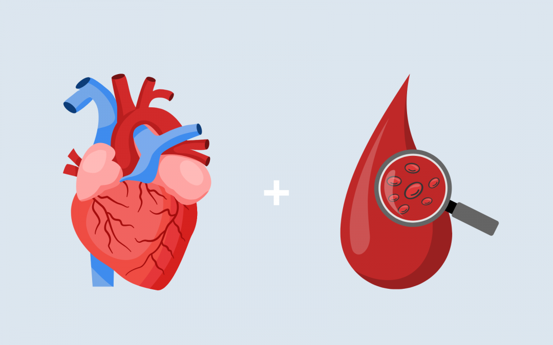 Lancement de la Graduate School Cardiovascular and Blood Sciences (CVBS) : une approche intégrée de la santé circulatoire