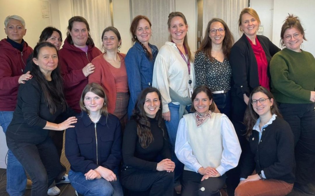 Hej ! Retour sur un voyage d’étude à Stockholm, un projet du Département Universitaire de Maïeutique