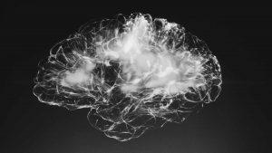 Les Neurosciences dans l'espace @ Campus Saint-Germain