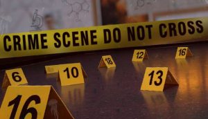 Participez à l’escape game scientifique « ENQUÊTE MÉDUSANTE » ! @ Université Paris Cité, Bâtiment Lamarck, salle 222
