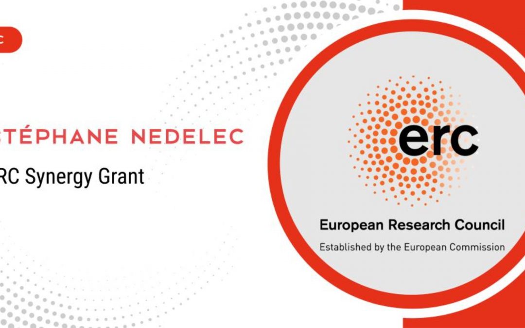 ERC Synergy Grants – Stéphane Nedelec