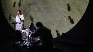 [PERFORMANCE] Macadam Animal @ Université Paris Cité - Campus Odéon – Grand Amphi Odéon