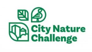 City Nature Challenge 2026 : Participez à l’inventaire naturel mondial !
