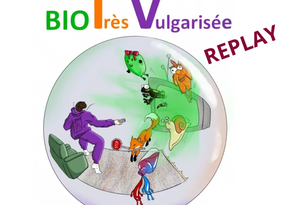 Évènement Culture Biologique Numérique : Le replay