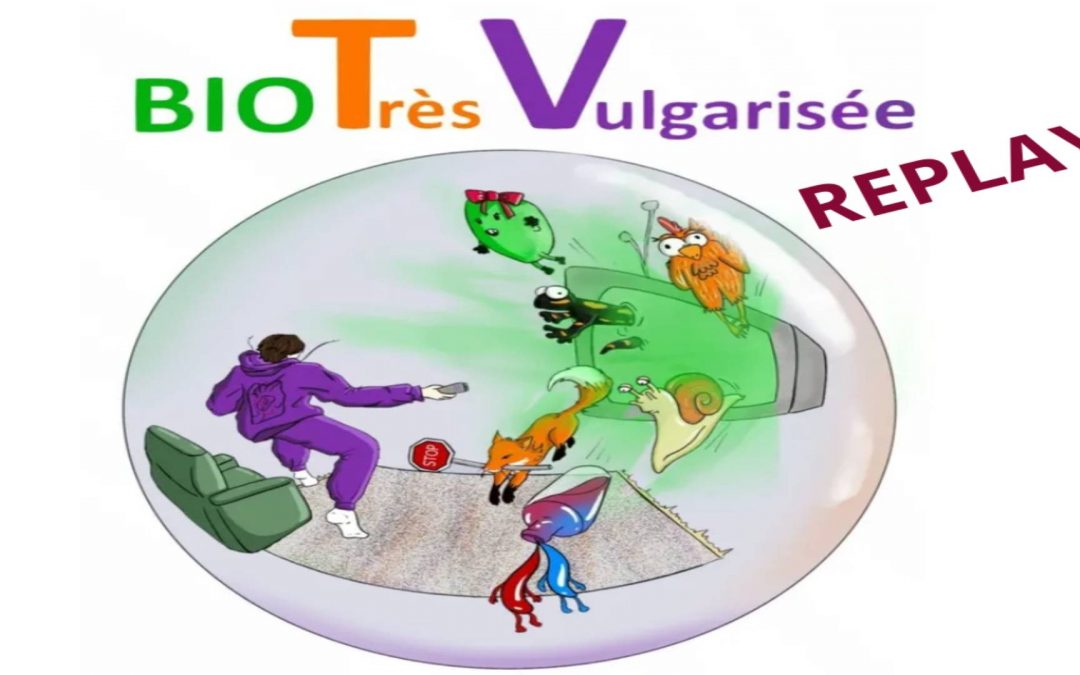 Évènement Culture Biologique Numérique : Le replay