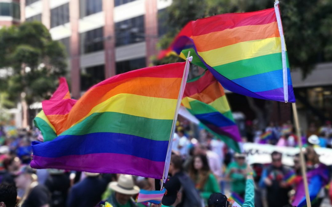 [A LIRE] Les républicains américains dans une surenchère LGBTphobe