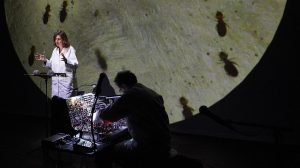 Macadam Animal │ PERFORMANCE VERSION CONCERT @ Site Odéon – Grand Amphi Odéon