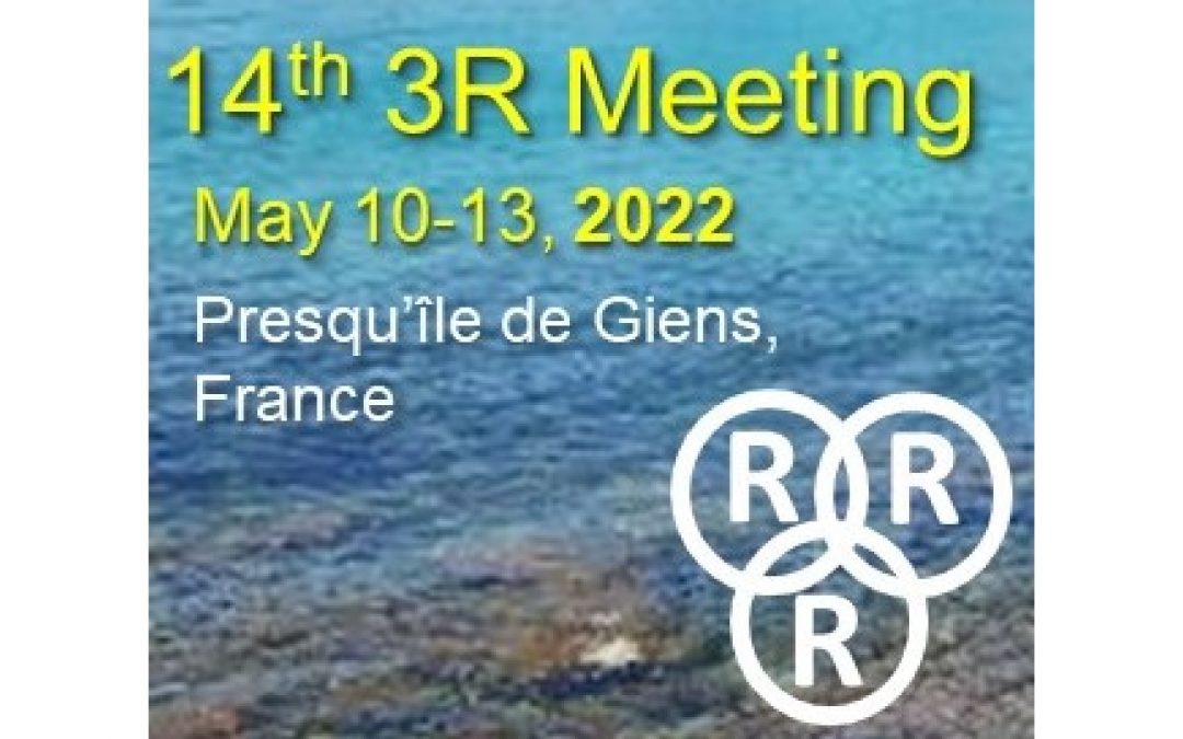 14th French 3R Meeting: Replication – Recombination – Repair