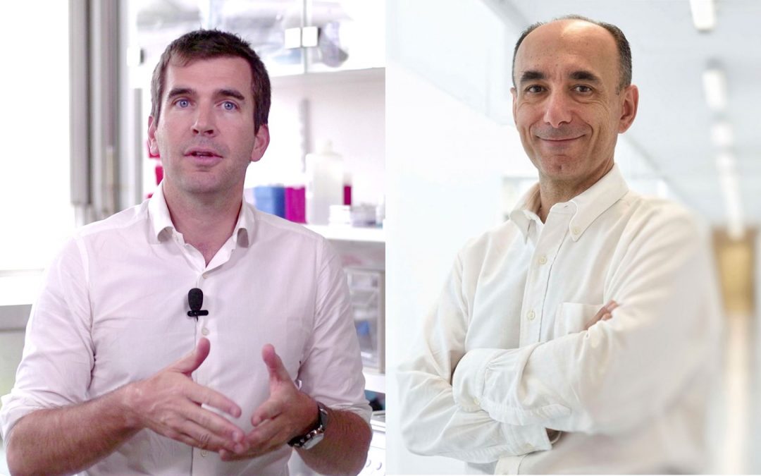 Deux chercheurs de l’Université de Paris distingués par la Ville de Paris