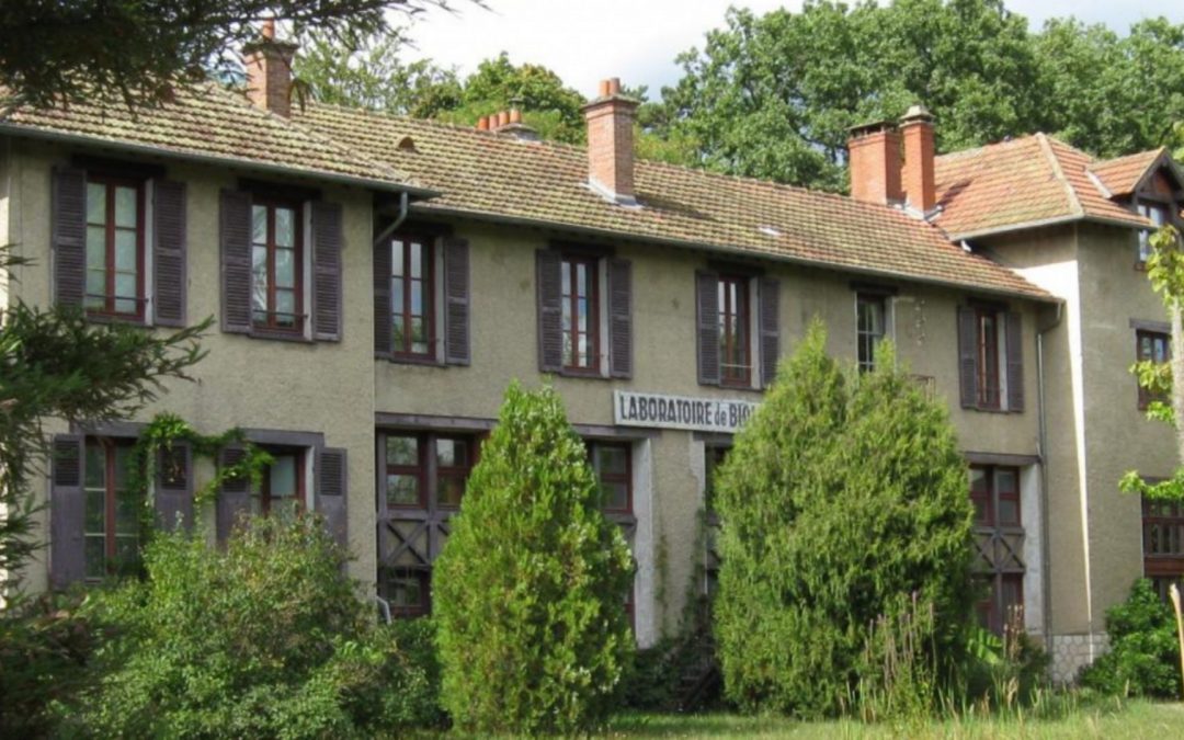 [Graduate School Linguistics] Sortie à la station forestière de Fontainebleau