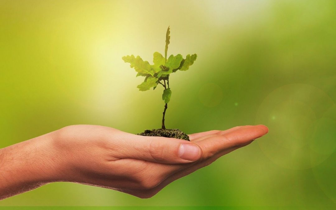 Les associations étudiantes se mobilisent pour l’environnement