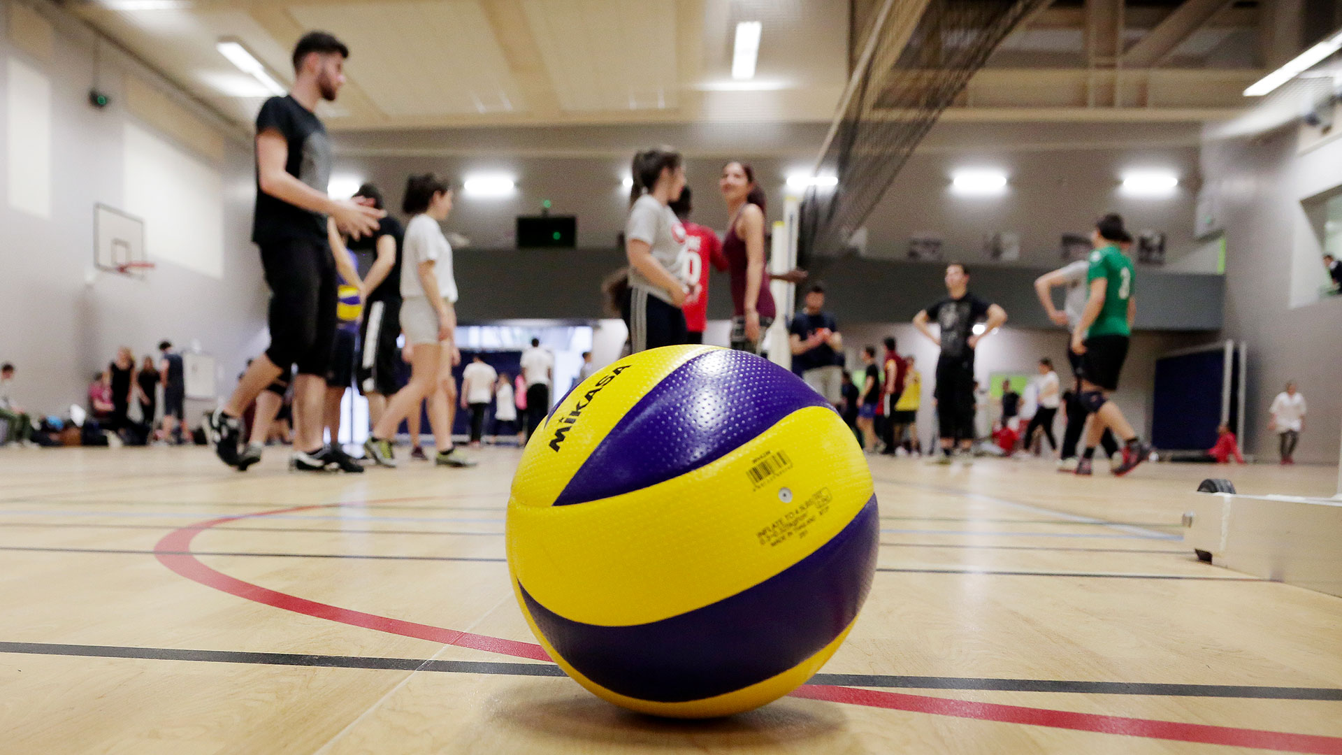 Sports  Université Paris Cité