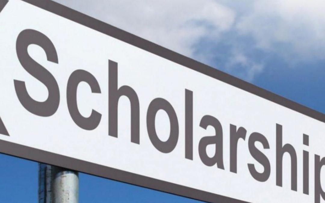 Appel à candidatures : bourse internationale de Master – MIRES