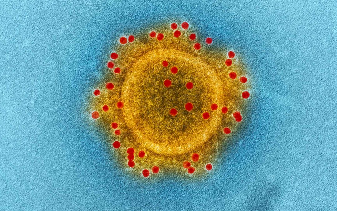 Adios Corona : un collectif scientifique mobilisé contre la désinformation