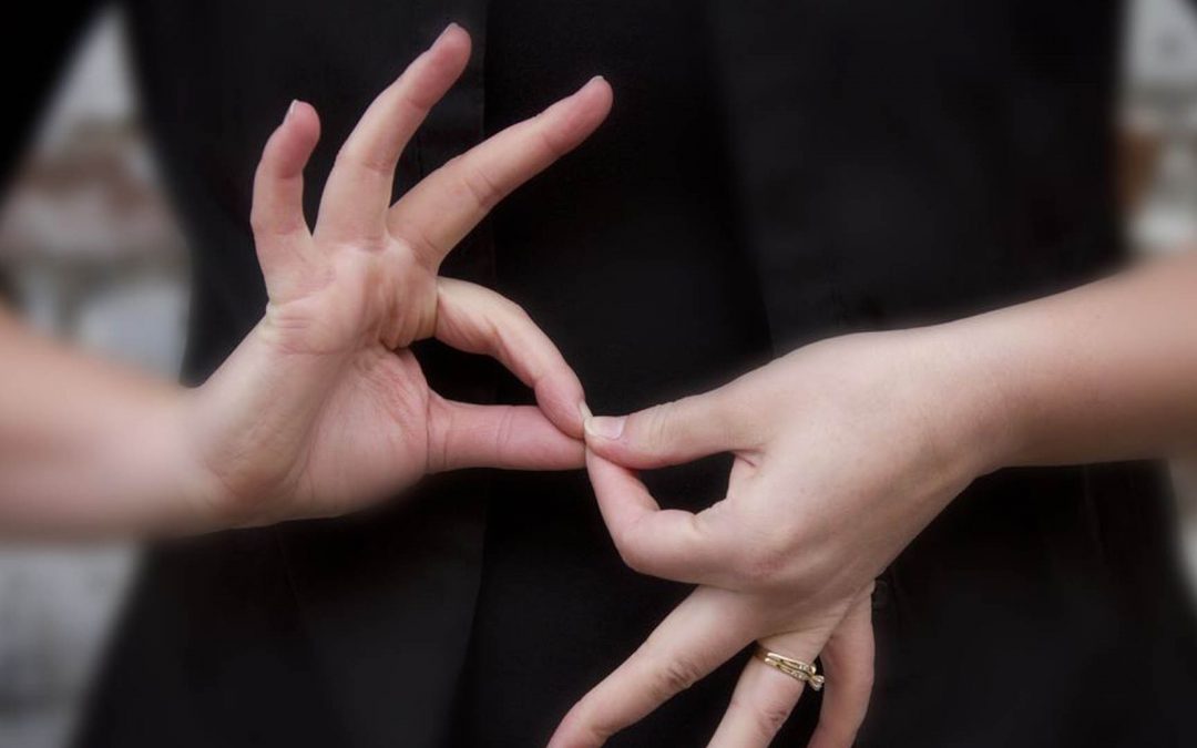 Nouveau ! Une initiation à la langue des signes française pour les étudiants en santé