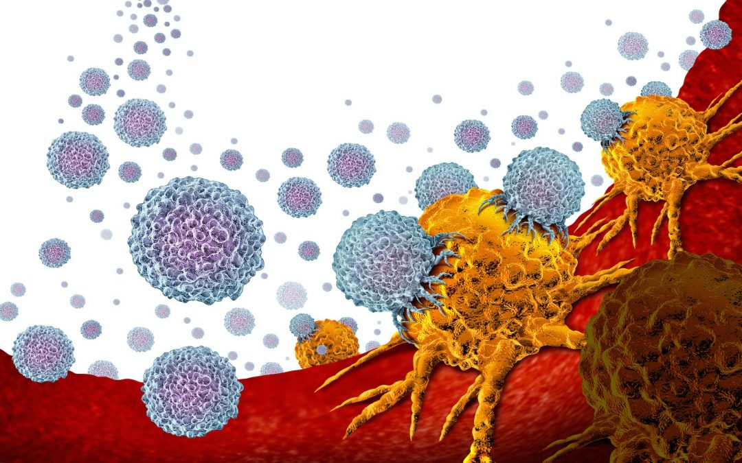 Premiers résultats nationaux de l’immunothérapie cellulaire par CAR T-cells dans les lymphomes