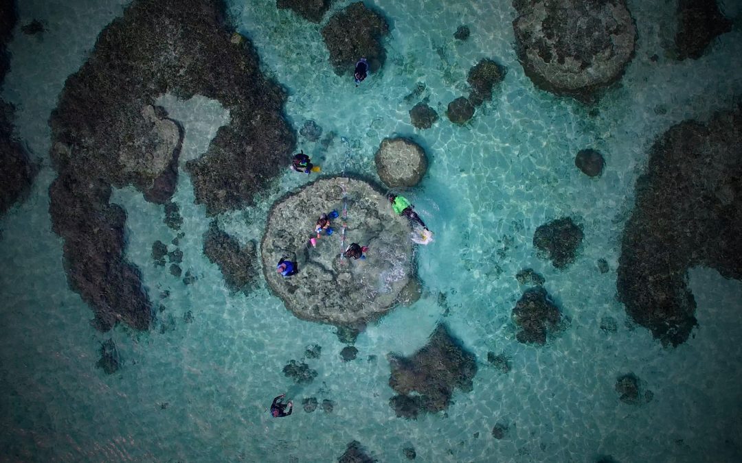 [Diffusion] « Au cœur de la Terre et des planètes » sur Science&Vie TV