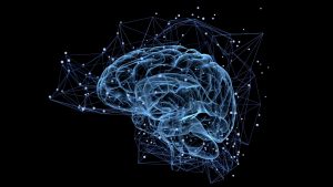[Semaine du Cerveau 2024] Découvrez les recherches de l'Institut Neurosciences et Cognition @ Campus Saint-Germain-des-Prés et GHU Psychiatrie et Neurosciences
