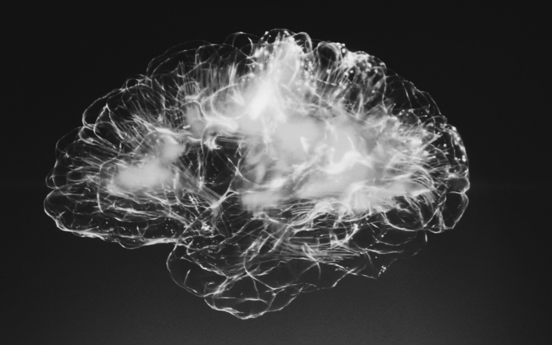 Forum des Sciences Cognitives 2021