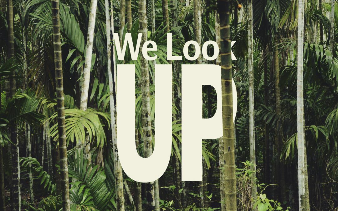 « We look up » : la transition écologique vue par nos étudiantes et étudiants