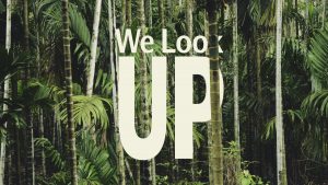 « We look up » : la transition écologique vue par nos étudiantes et étudiants @ Cours des Grands Moulins