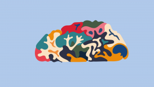 La semaine du cerveau 2026 à l’Université Paris Cité @ Campus Saint-Germain-des-Prés