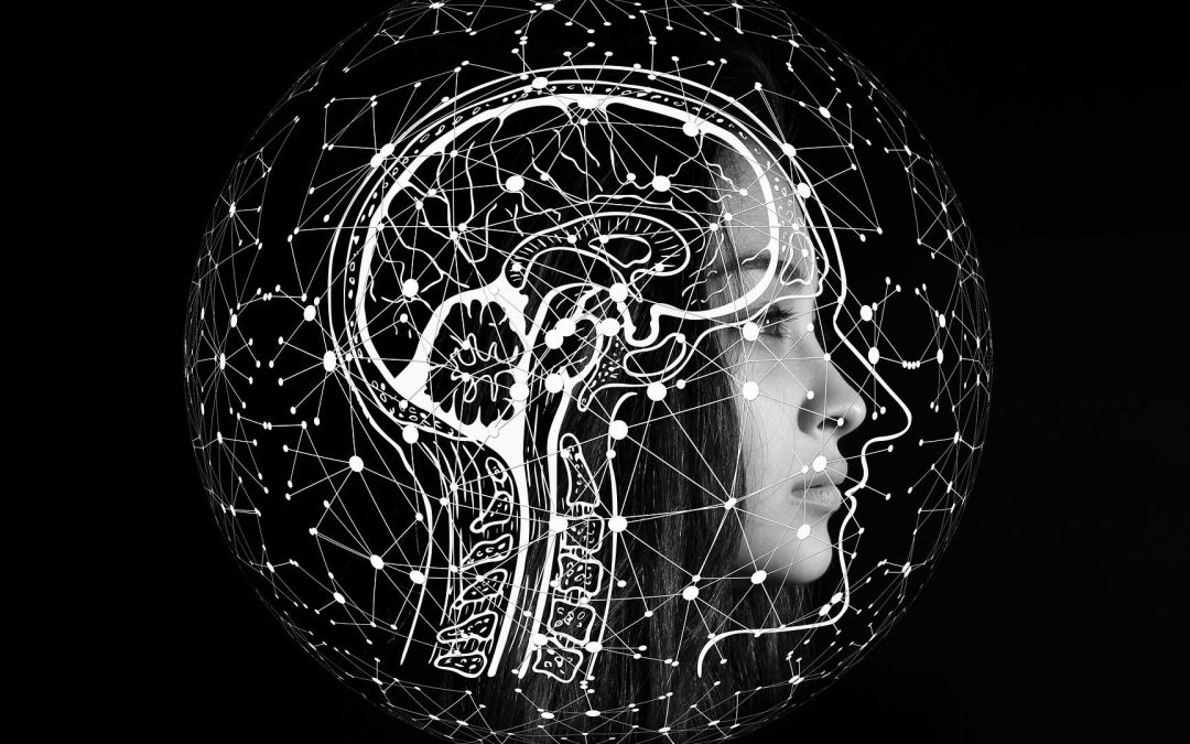 [Atelier] Intelligence artificielle et microscopie électronique