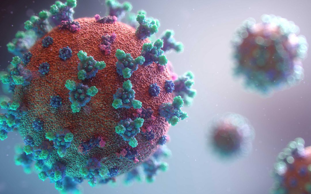 [WEBINAIRE GS 1H-EID] Découverte du nouveau parcours de master Maladies Infectieuses Émergentes