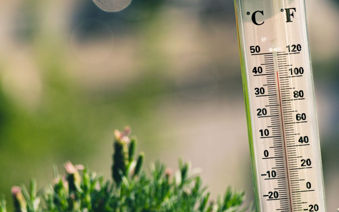 La chaleur record de l’été 2022 a fait plus de 61 000 morts en Europe dont près de 5000 en France