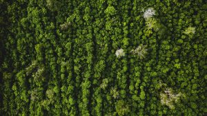 [Cycle de séminaires] « Les enjeux écologiques dans une perspective multidisciplinaire » @ En présentiel au Campus des GM et à distance via zoom