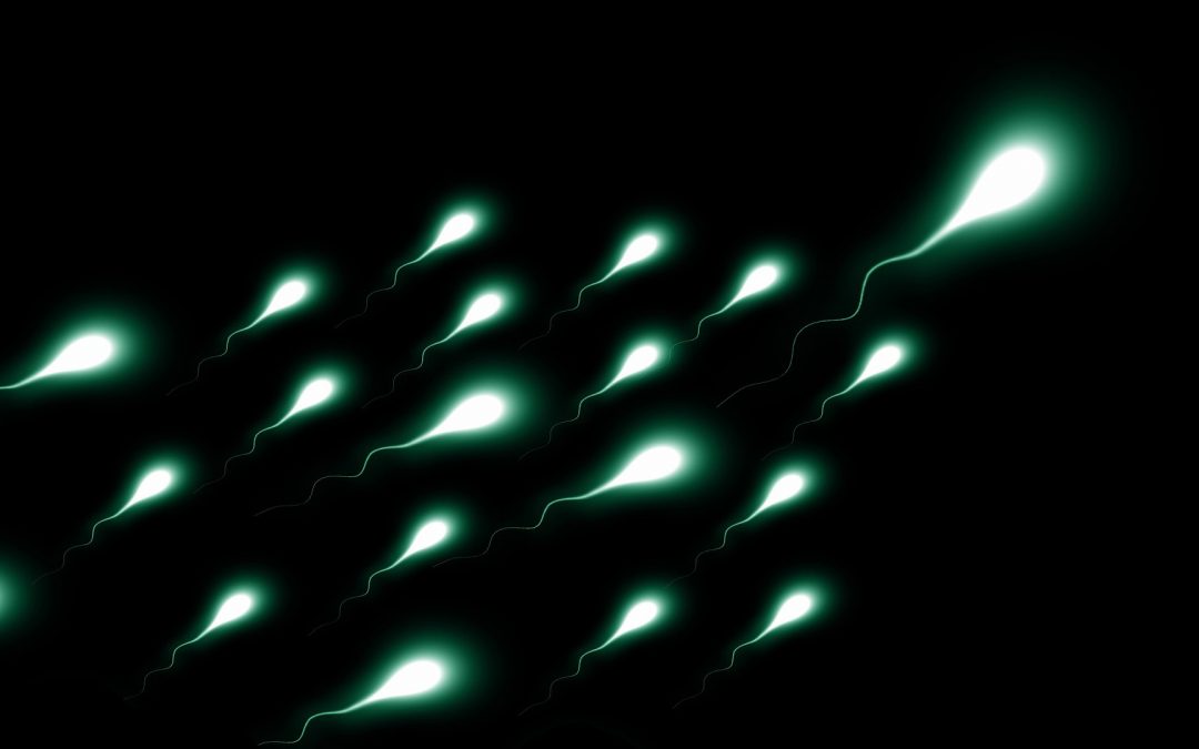 Transmission du VIH : le sperme joue le sélectionneur de virus