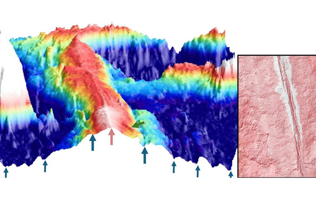 Mise en évidence de failles d’origine magmatique au niveau de la dorsale Est Pacifique
