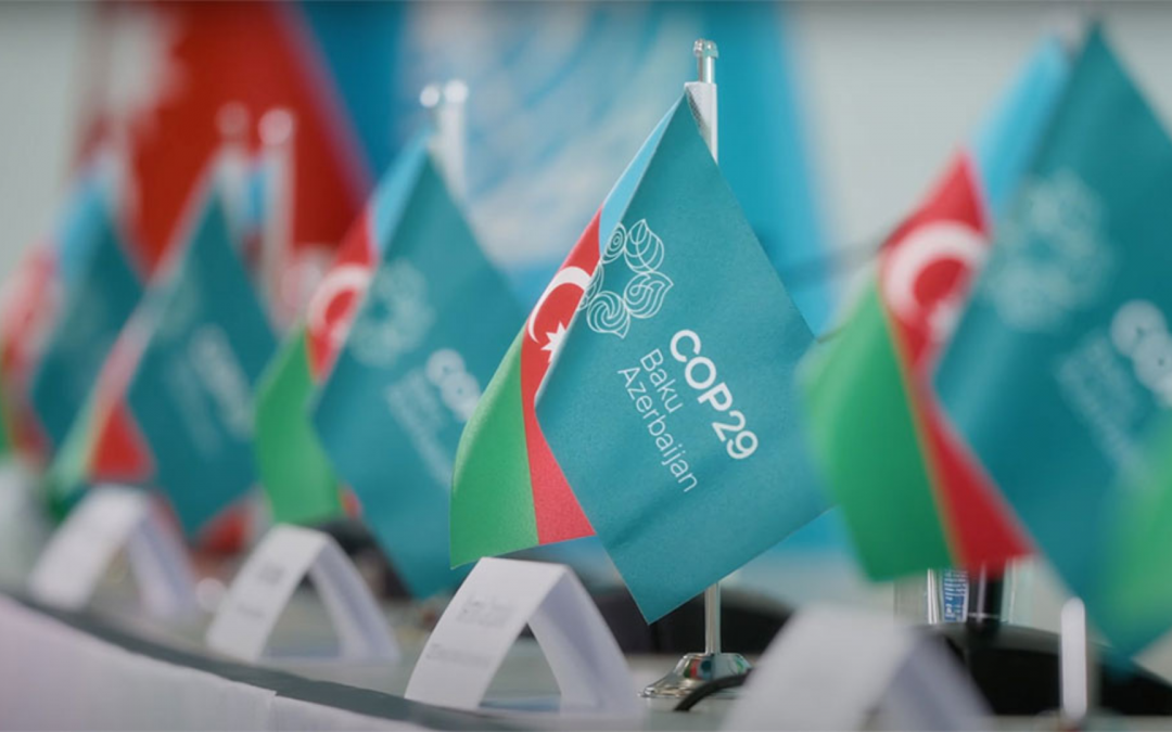 [Circle U.] Webinaire – La COP29 dans un monde en mutation