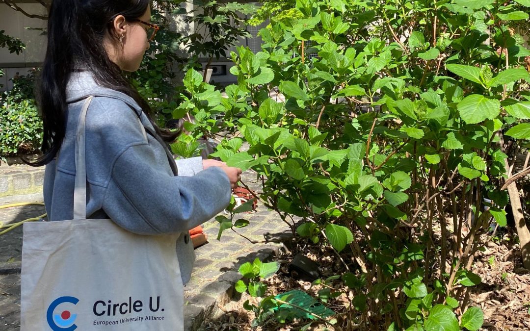 Circle U. fête la journée mondiale de l’environnement !